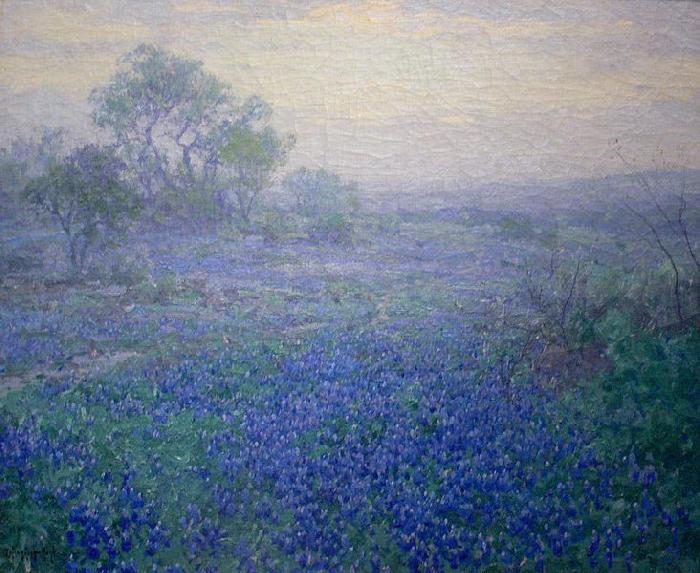 Julian Onderdonk Cloudy Day. Bluebonnets near San Antonio, Texas Sweden oil painting art